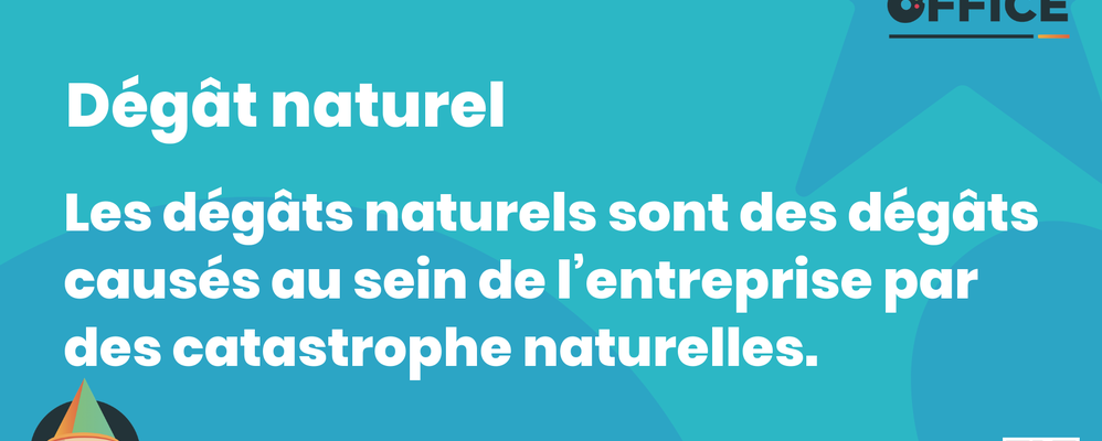 Definition Dégât naturel